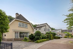 Bilzekruid113903GNVeenendaal-05.jpg