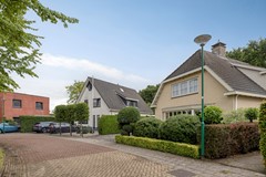 Bilzekruid113903GNVeenendaal-06.jpg