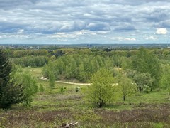 IMG_3830.jpg