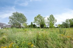 Smetanadreef353906CVVeenendaal-65.jpg