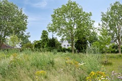 Smetanadreef353906CVVeenendaal-67.jpg