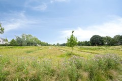 Smetanadreef353906CVVeenendaal-68.jpg