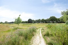 Smetanadreef353906CVVeenendaal-69.jpg
