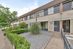 Distelvink693906ANVeenendaalNL-05.jpg