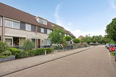 Distelvink693906ANVeenendaalNL-03.jpg