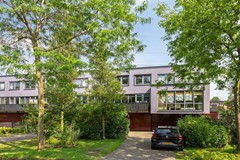 Brasem203824lrAmersfoortNL-03.jpg