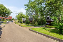Brasem203824lrAmersfoortNL-04.jpg