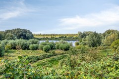 Utrechtsestraatweg313911TRRhenen-57.jpg