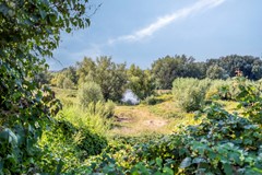 Utrechtsestraatweg313911TRRhenen-58.jpg