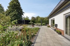 DeHelling273911VBRhenenNL-98.jpg