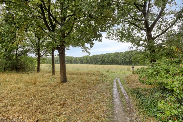 Medium property photo - De Toltoren 23, 3912 AG Rhenen