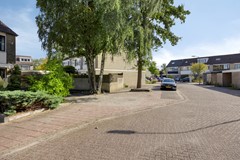 Kamgras173902baVeenendaal-05.jpg