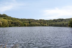 Rietgors33911EZRhenen-52.jpg