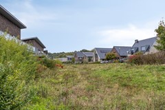 Rietgors33911EZRhenen-54.jpg