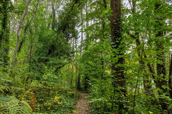 Medium property photo - Rietgors 3, 3911 EZ Rhenen