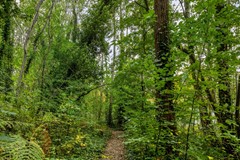 Rietgors33911EZRhenen-55.jpg