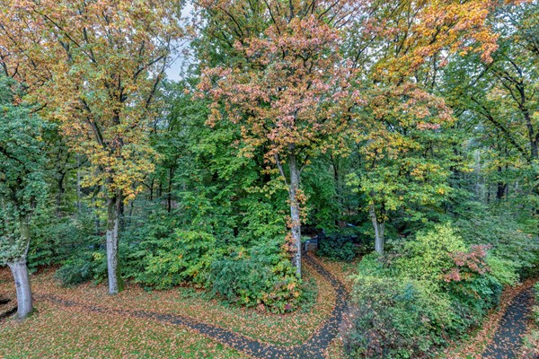 For sale: Rhenendael 60, 3911 RM Rhenen