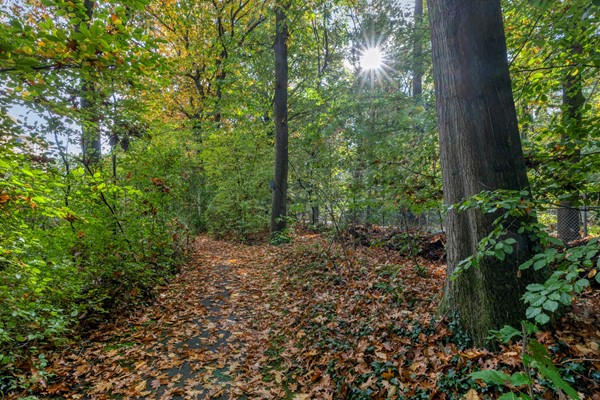 For sale: Rhenendael 60, 3911 RM Rhenen