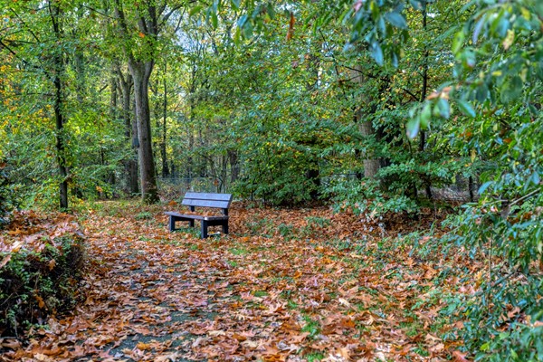 For sale: Rhenendael 60, 3911 RM Rhenen