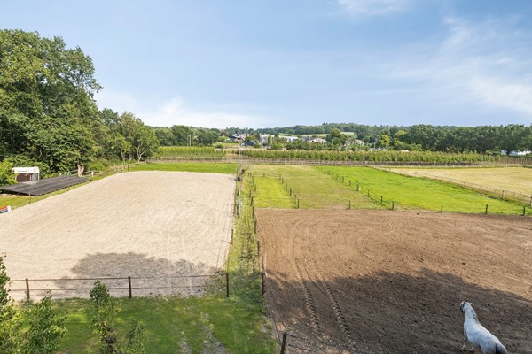 Bergweg19A3911VARhenen-06.jpg