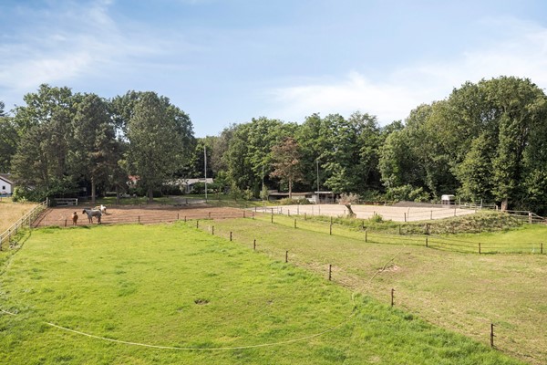 Bergweg19A3911VARhenen-07.jpg