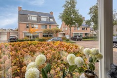 Vuurvlinderronde43905KNVeenendaalNL-12.jpg