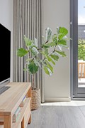 Methorstheem513907neVeenendaal-18.jpg