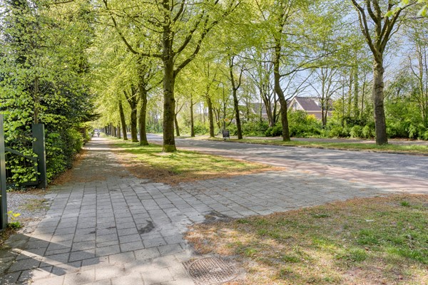 NieuweVeenendaalseweg2143911MRRhenenNL-63.jpg