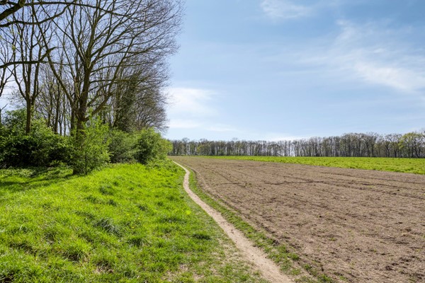 NieuweVeenendaalseweg2143911MRRhenenNL-59.jpg