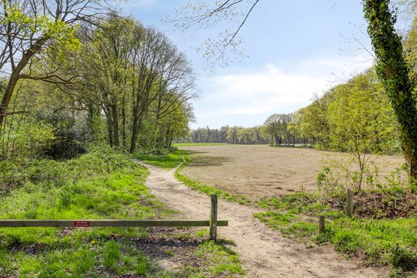 NieuweVeenendaalseweg2143911MRRhenenNL-60.jpg