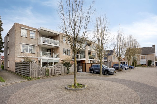 Vijgendam103901slVeenendaalNL-31.jpg