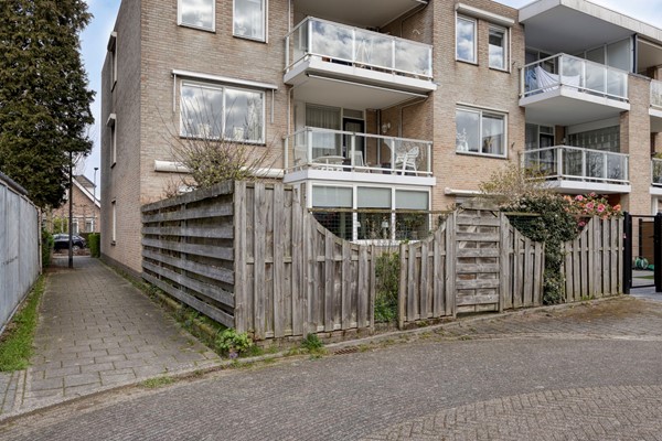 Vijgendam103901slVeenendaalNL-32.jpg
