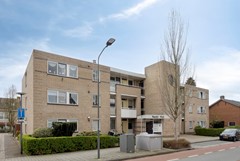 Vijgendam103901slVeenendaalNL-02.jpg