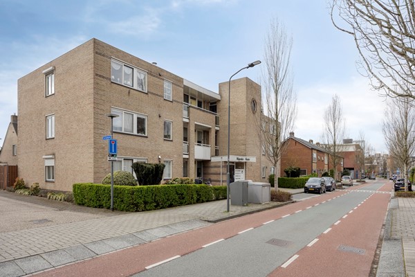 Vijgendam103901slVeenendaalNL-01.jpg