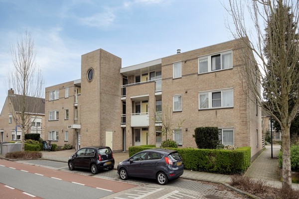 Vijgendam103901slVeenendaalNL-04.jpg