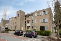 Vijgendam103901slVeenendaalNL-04.jpg