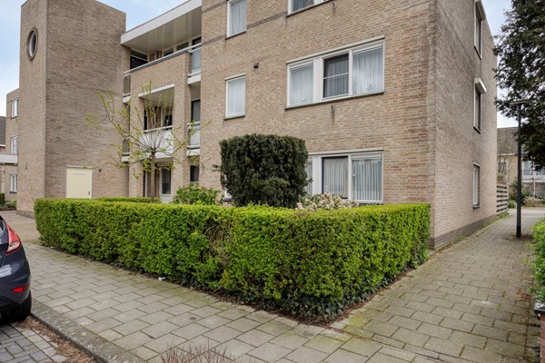 Vijgendam103901slVeenendaalNL-05.jpg