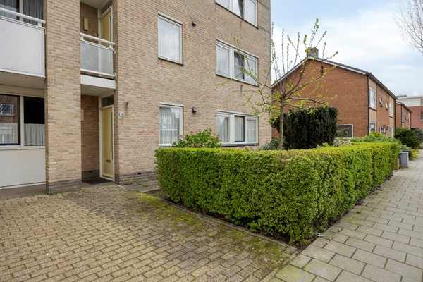 Vijgendam103901slVeenendaalNL-06.jpg