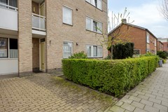 Vijgendam103901slVeenendaalNL-06.jpg