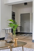 Spoorbaanweg393911caRhenenNL-22.jpg