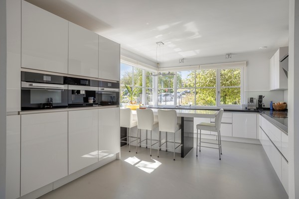 Ribeslaan123911ZWRhenen-25.jpg