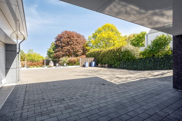 Ribeslaan123911ZWRhenen-74.jpg