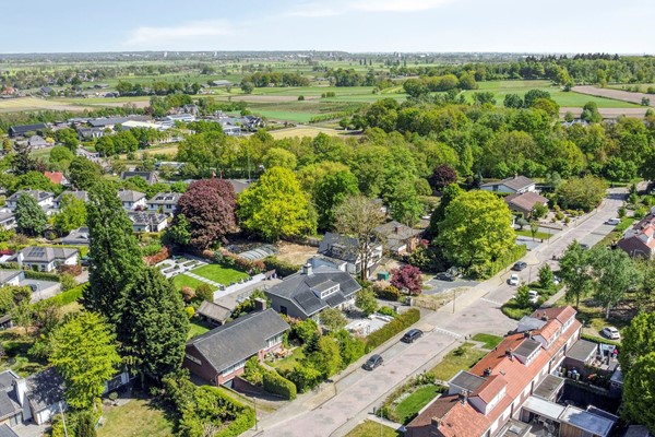 Ribeslaan123911ZWRhenen-04.jpg