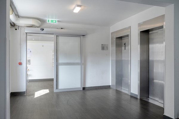DeSterkeArm493901elVeenendaal-06.jpg