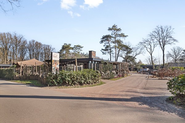 OudeVeensegrindweg76193911TARhenenNL-35.jpg