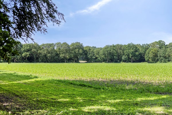Beukenlaan83911XKRhenen-39.jpg