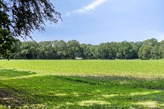 Beukenlaan83911XKRhenen-39.jpg