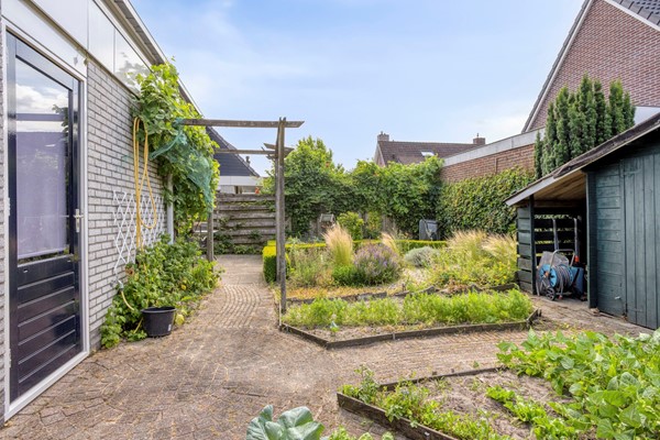 Panterpad23903XMVeenendaalNL-43.jpg