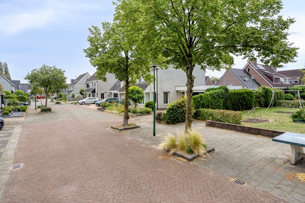 Panterpad23903XMVeenendaalNL-04.jpg