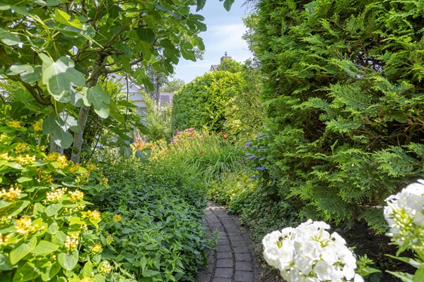WillemBarentszstraat133902deVeenendaalNL-59.jpg